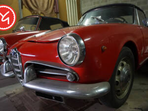 Bild 1/28 von Alfa Romeo Giulietta Spider (1961)