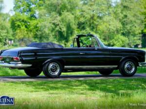 Image 9/52 of Mercedes-Benz 220 SE b (1963)