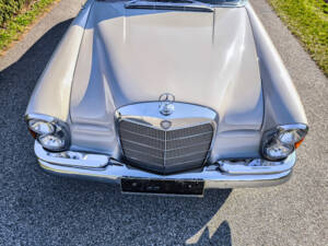 Bild 11/25 von Mercedes-Benz 220 SE b (1964)