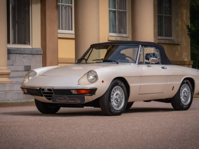 Bild 1/13 von Alfa Romeo 2000 Spider Veloce (1979)
