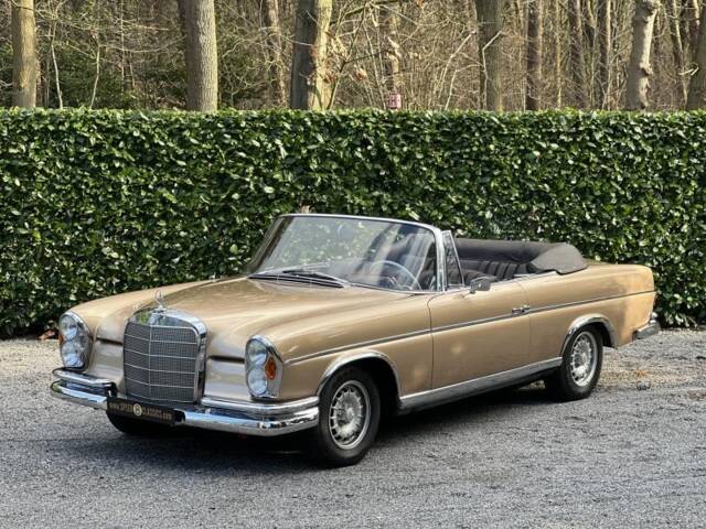 Bild 1/22 von Mercedes-Benz 220 SE b (1963)