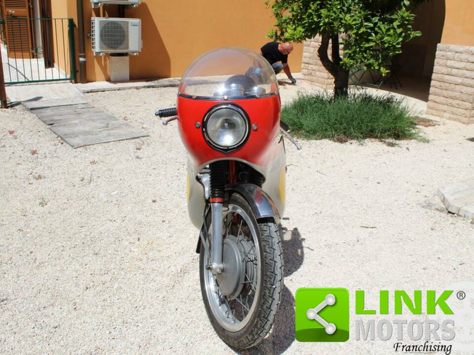 Bild 2/10 von MV Agusta DUMMY (1974)