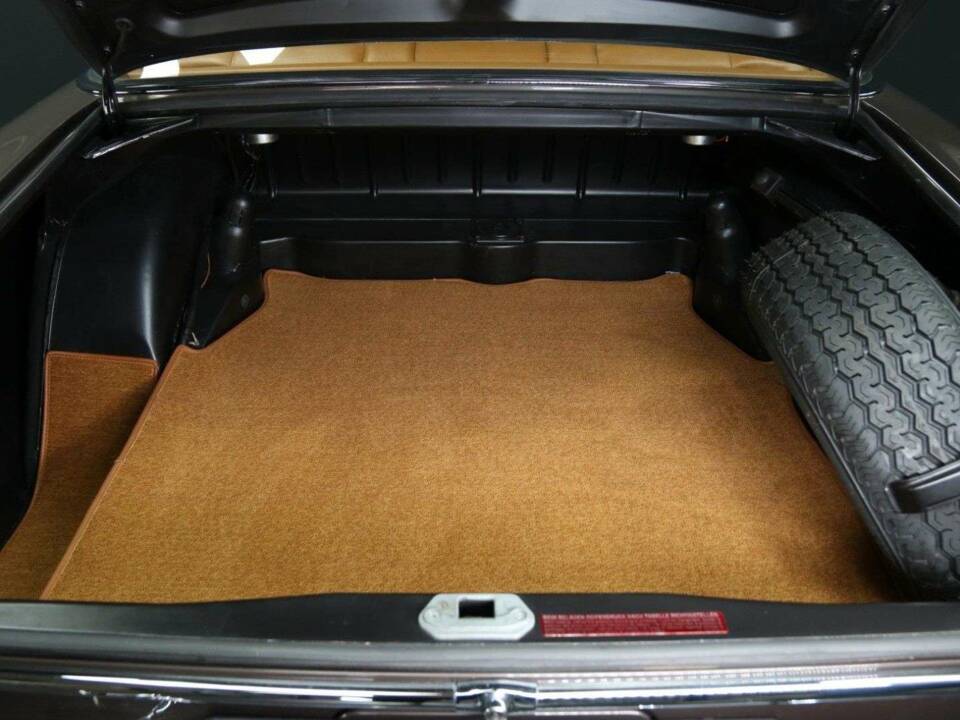 Imagen 23/30 de Mercedes-Benz 280 SE 3,5 (1970)